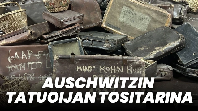 Auschwitzin tatuoijan tositarina