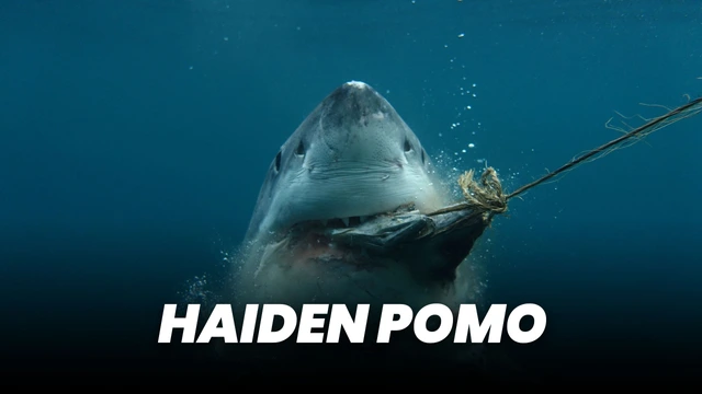Haiden pomo